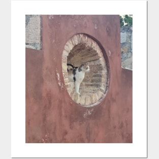 Meditative Corfu Cat: Window View Photography Posters and Art